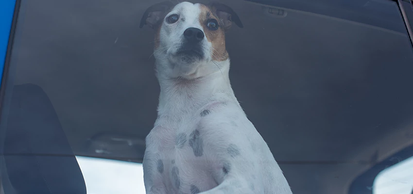 Car Lockout Solutions in Chowchilla, California